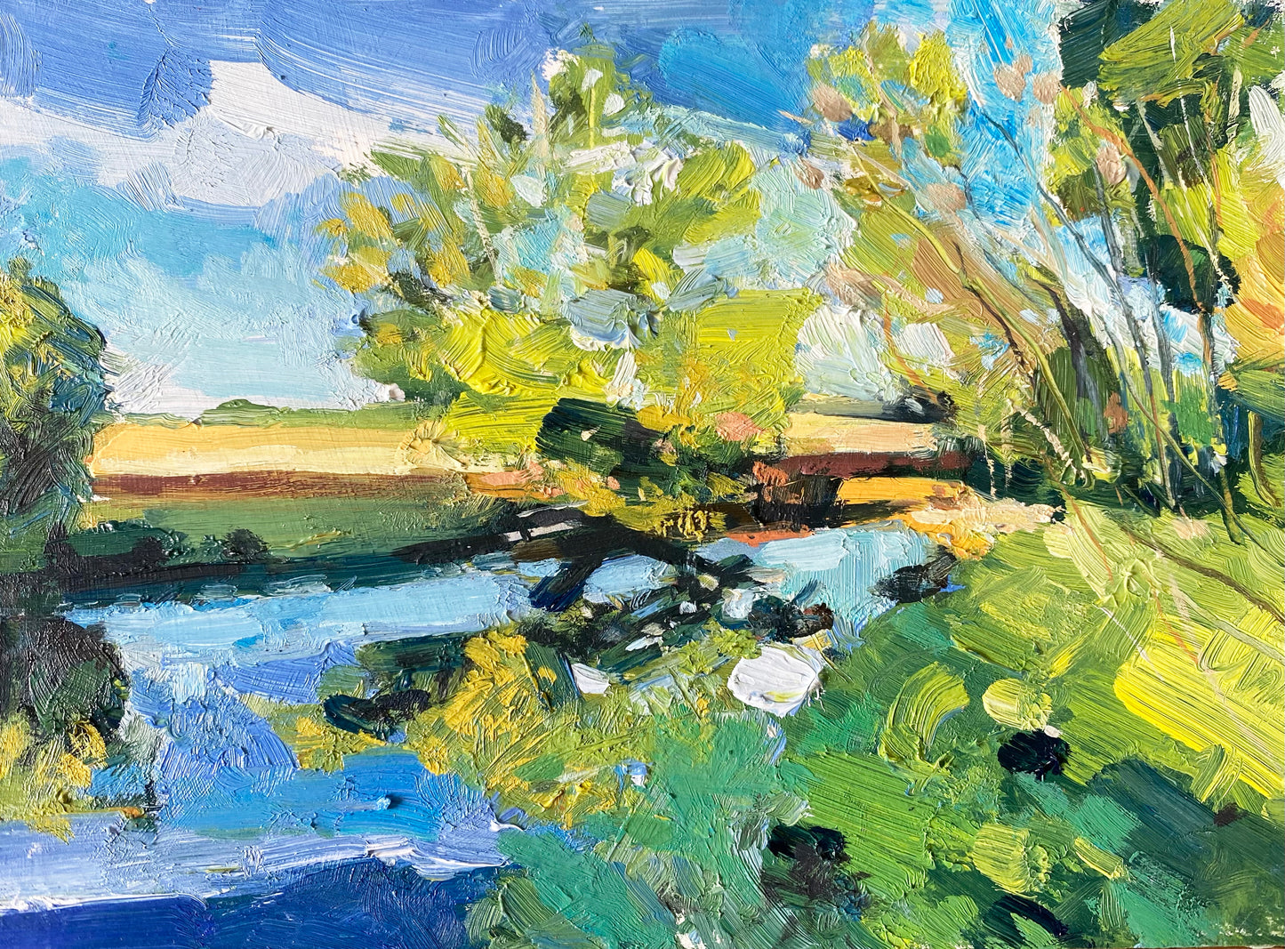 Blue Skies and Ochre Fields Along The River