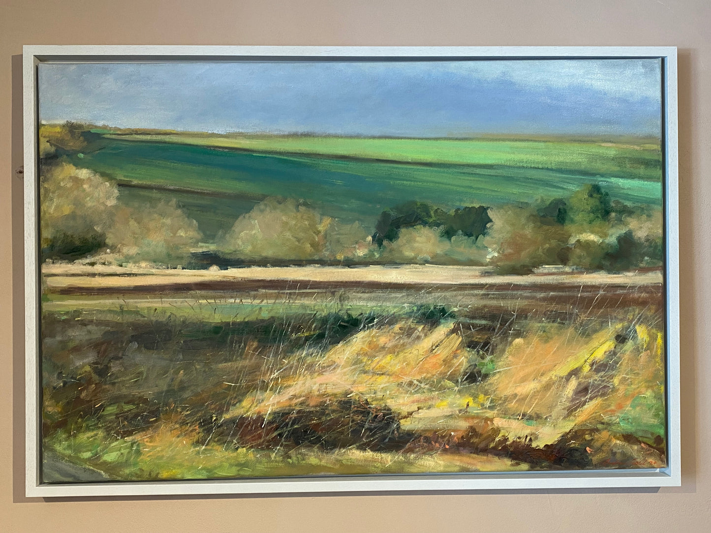 Verdant Cotswold Fields