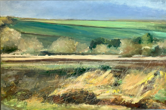 Verdant Cotswold Fields