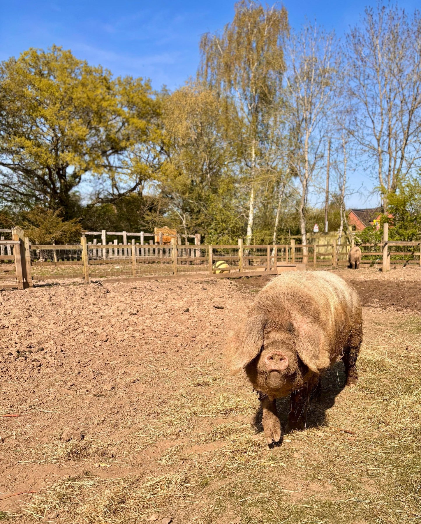 Kids Art Workshops at Cobbs Farm May Half-Term