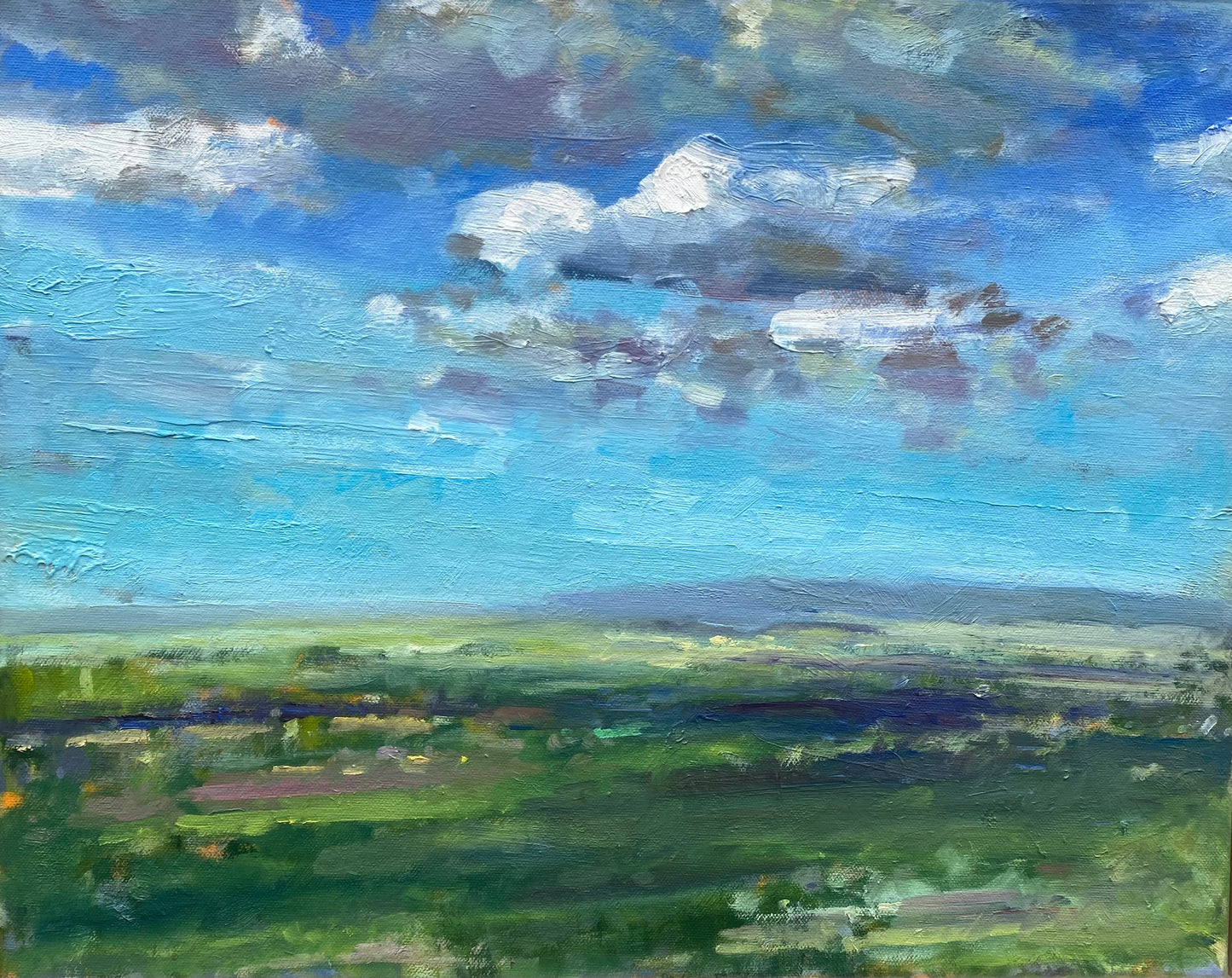 Spring Fields