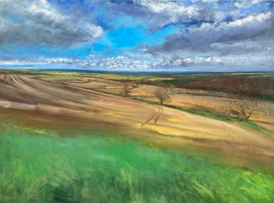 View of The Cotswolds Near Icomb