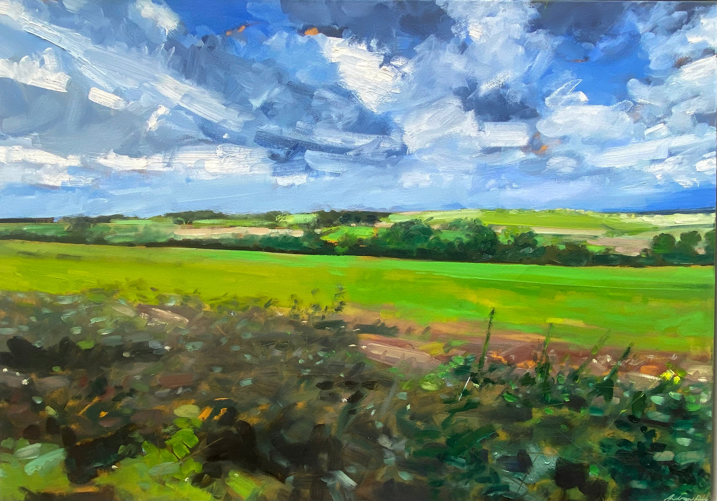 Naunton Fields