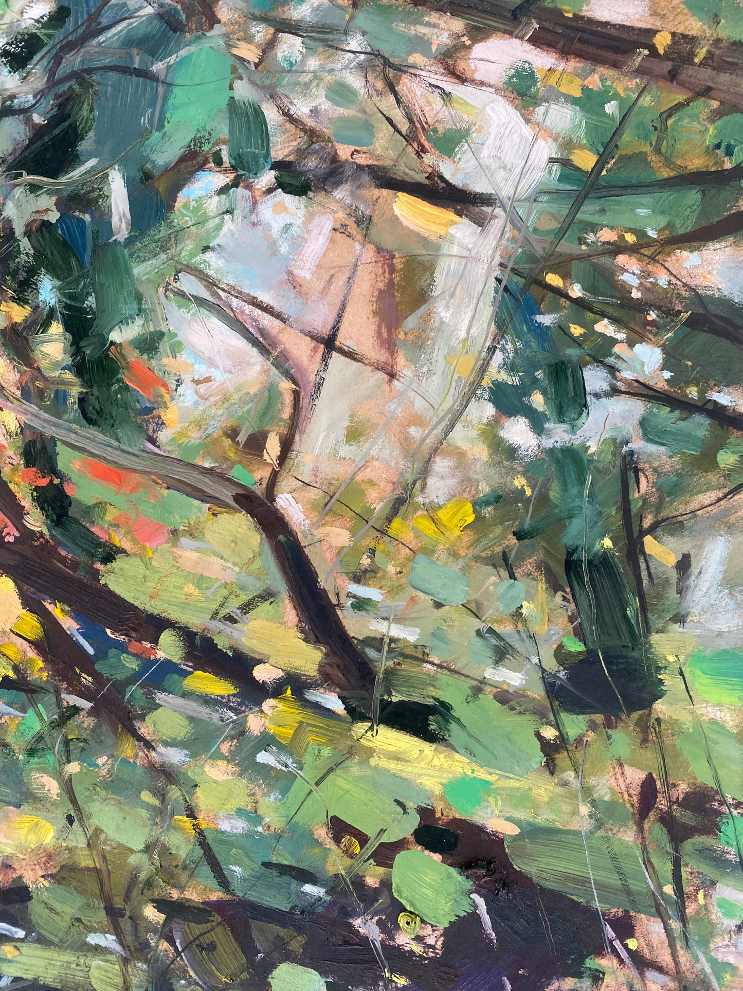 View Through The Trees