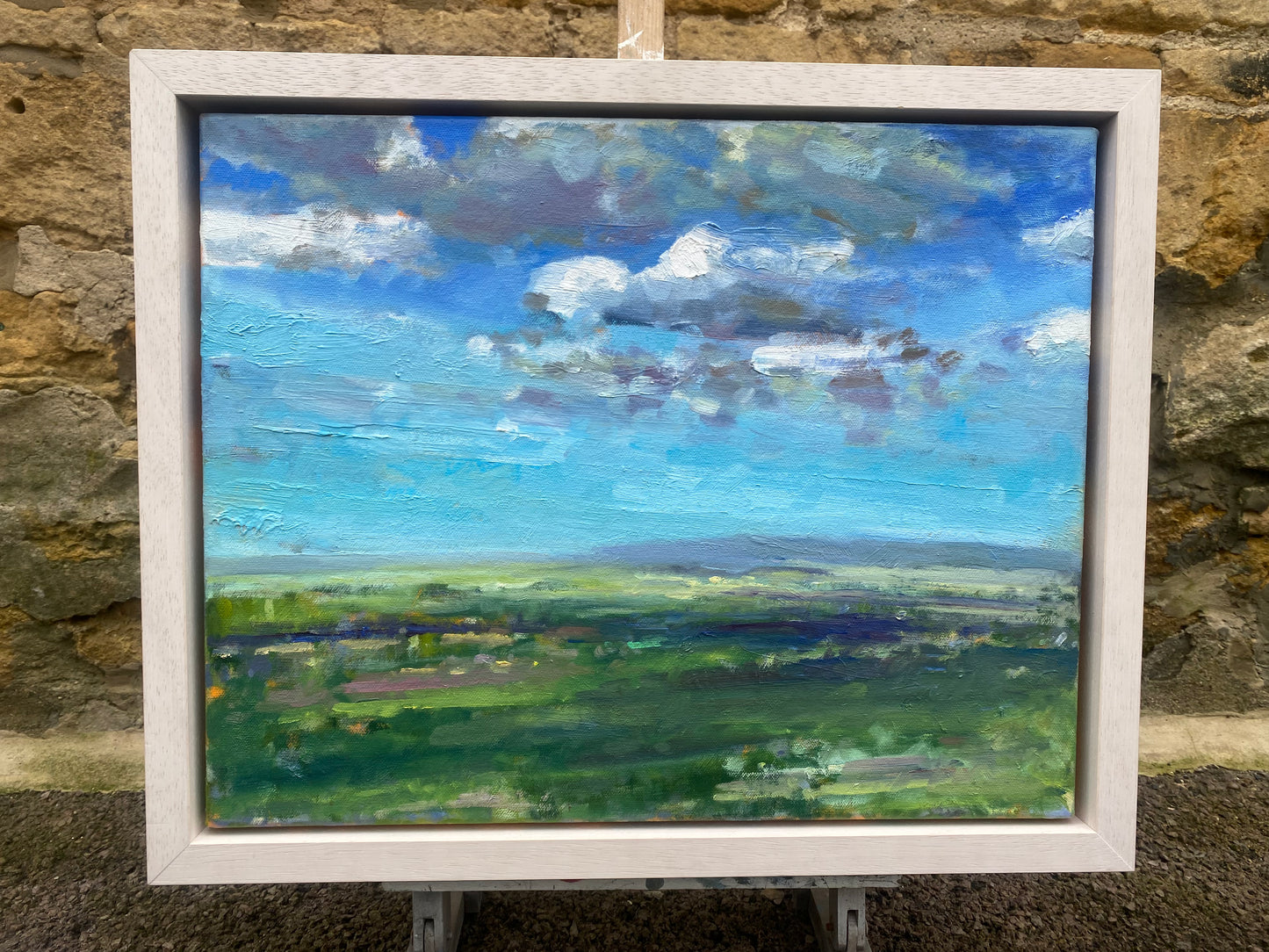 Spring Fields