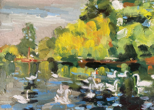 Looking For The Black Swan