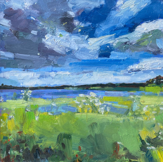 Phacelia Field